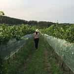 Silvia Valdés - @silviastellavaldes - Instagram