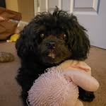 Sylvia Warren - @sylviawarren6802 - Instagram