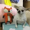 Silvia Wong - @winghau - TikTok