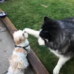 Silvia Wong - @silvia.wong.52 - Instagram