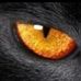 Silvio Ribeiro - Facebook