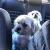 simdavis778 - @simdavis778 - TikTok