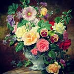 sima_jafari - @simajafari805 - Instagram