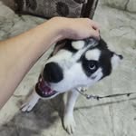 Simeon Chen - @simeoncmy_ - Instagram