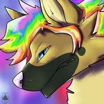 Simon the Rainbow G-Shep - @simon__shepard - Instagram