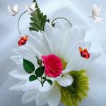 Simerjit Gill - @simerjitgill6 - Instagram
