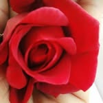 simi ahuja - @69x.xboy - Instagram