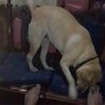 Simi Ahuja - @simi_ahuja - Instagram