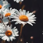 Simi Ajith - @simi_ajith06 - Instagram