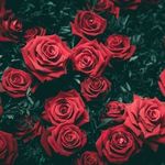 Simi Varghese - @simimol434 - Instagram