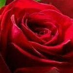 SM - @simivarghese - Instagram