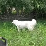 Simi Vincent - @simi.vincent.737 - Instagram