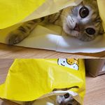 Siming Yang - @siming.y92 - Instagram