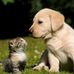 Siming Yang - Facebook