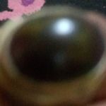 Simon Abadi - @doris2342024 - Instagram