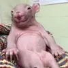 simonabrahams259 - @simonabrahams259 - TikTok