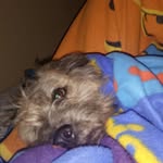 simon alejandro - @simonchoelgrande - Instagram