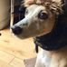 Simon Armitage - Facebook