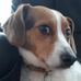 Simon Audet - Facebook