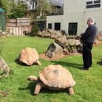 Simon Bamford - @sjbamford - Instagram