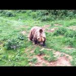 @simonbatchelor - Instagram