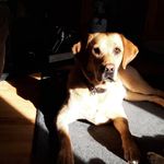 Simon Bates - @simonbates9745 - Instagram
