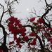 Simon Becerra - Facebook