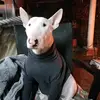 simonbello17 - @simonbello17 - TikTok