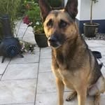 Simon Bosch - @bosch.simon - Instagram