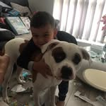 Simon Bowden - @si_si_si_xw - Instagram
