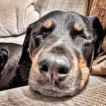 Simon Brewer - @sibrewer - Instagram