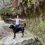 Simon Briscoe - @simondean.atx - Instagram