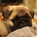 Simon F Broomhead - @broomheadsimon - Instagram