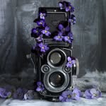 Simon Brown - @simonbrownphotography - Instagram
