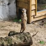 Simon Buckley - @simonbuckley4 - Instagram