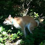 Simon Burnett - @simon.burnett - Instagram