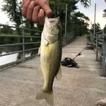 @simon_burris3637 - Instagram