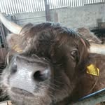 Simon Bury - @bury.simon - Instagram