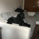 Simon Bush - @simon.bush.52 - Instagram