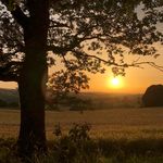 Simon Cable - @simonjoncable - Instagram