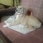 Simon Caceres - Facebook