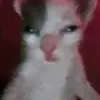 Simon Caceres - @simon.caceres98 - TikTok