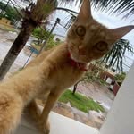 Simón Caceres bini - @simon.caceres.bini - Instagram