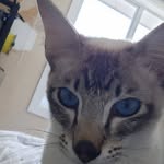 Simon Cartwright - @cartwright6345 - Instagram