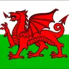 Simon Cartwright - @cymru_si - TikTok