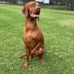 Simon Cerra - Facebook