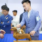 Simon Chen - Facebook