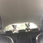 Simon Cherry - @sicherry2 - Instagram