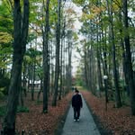 Simon Chong - @ckf_simon - Instagram
