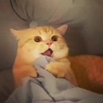 Simon Choo - @choo_simon - Instagram